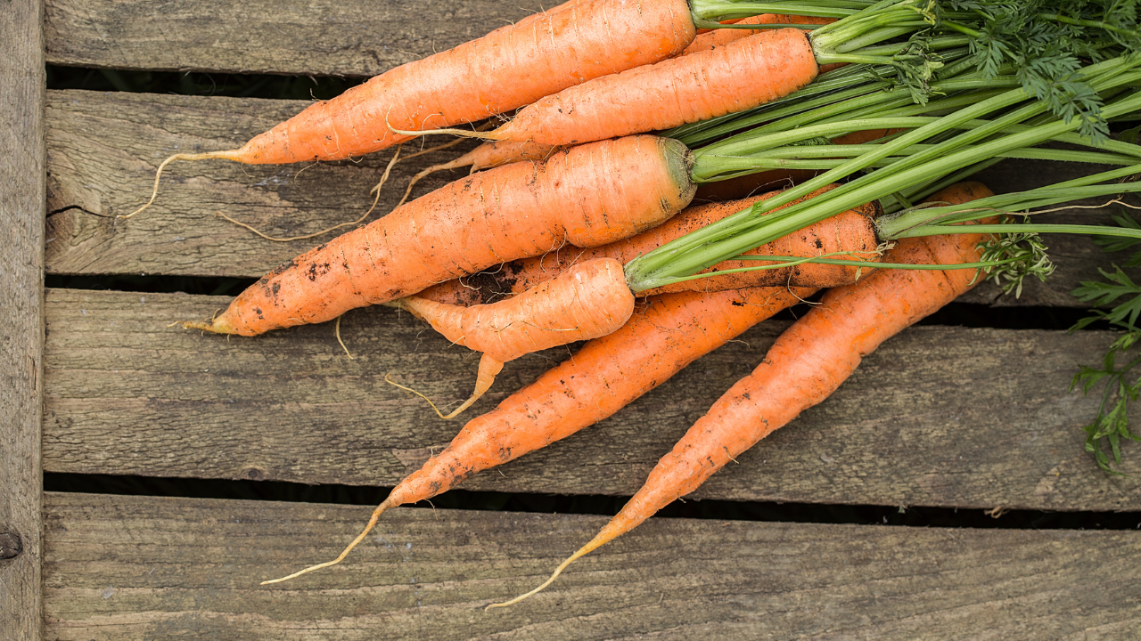 L'origine de ces fameuses expressions : « Les carottes sont cuites » -  Orthographe et Projet Voltaire