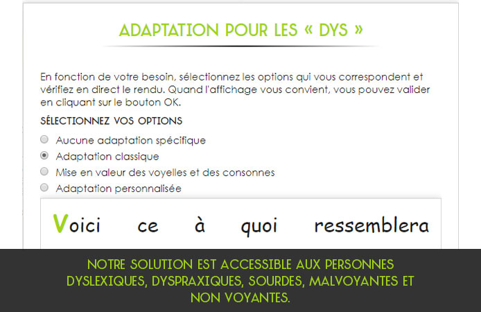 Slide 10 Projet Voltaire pour les entreprises