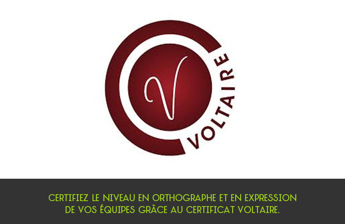 Slide 11 Projet Voltaire pour les entreprises