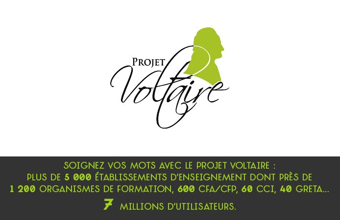 Slide 14 Projet Voltaire pour les organismes de formation